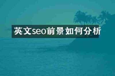 英文seo前景如何分析