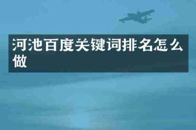 河池百度关键词排名怎么做