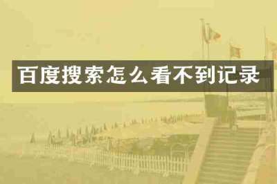 百度搜索怎么看不到记录
