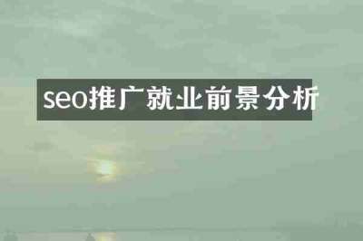seo推广就业前景分析