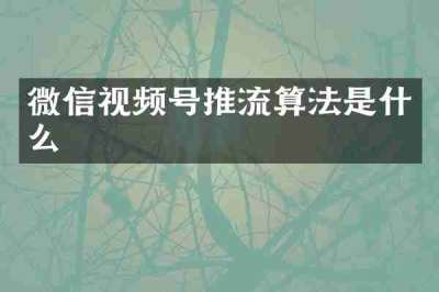 微信视频号推流算法是什么