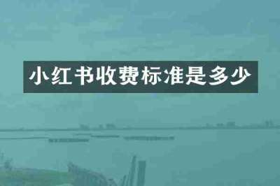 小红书收费标准是多少