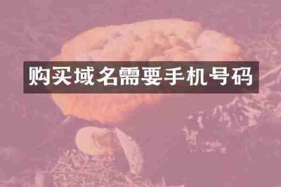 购买域名需要手机号码