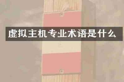 虚拟主机专业术语是什么