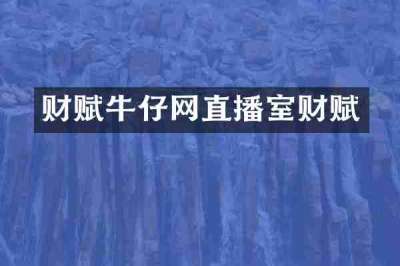 财赋牛仔网直播室财赋