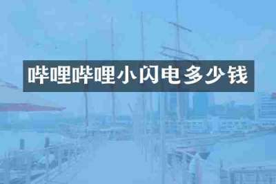 哔哩哔哩小闪电多少钱