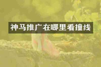神马推广在哪里看撞线