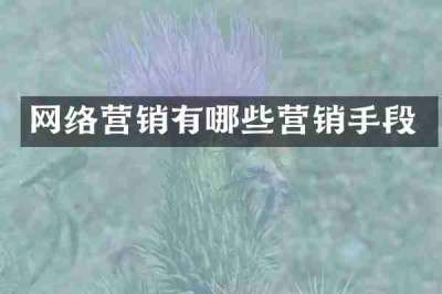 网络营销有哪些营销手段