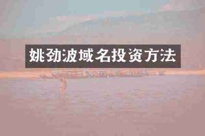 姚劲波域名投资方法
