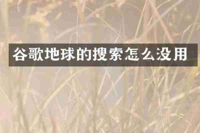 谷歌地球的搜索怎么没用