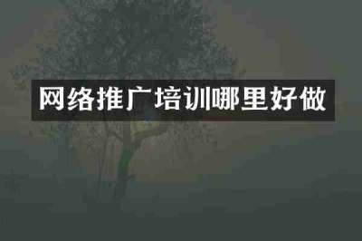 网络推广培训哪里好做