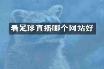 看足球直播哪个网站好