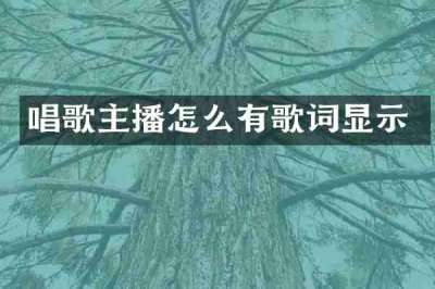 唱歌主播怎么有歌词显示