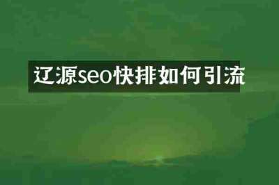 辽源seo快排如何引流