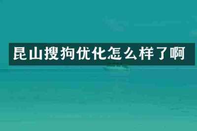 昆山搜狗优化怎么样了啊