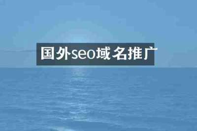 国外seo域名推广