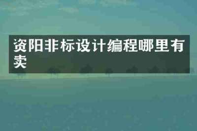 资阳非标设计编程哪里有卖