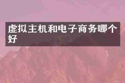 虚拟主机和电子商务哪个好