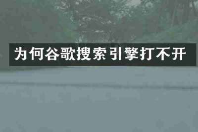 为何谷歌搜索引擎打不开