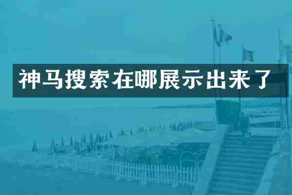 神马搜索在哪展示出来了