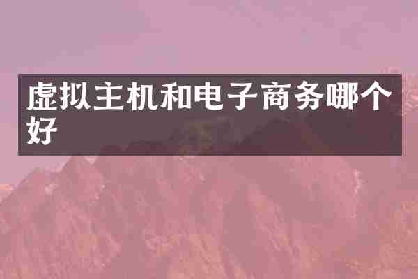 虚拟主机和电子商务哪个好