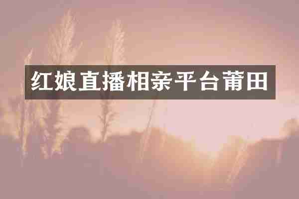 红娘直播相亲平台莆田