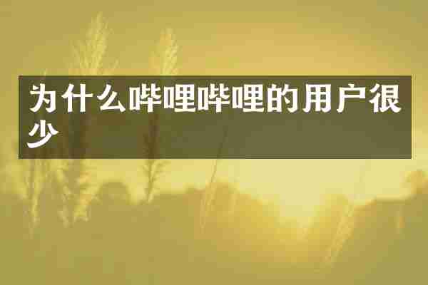 为什么哔哩哔哩的用户很少