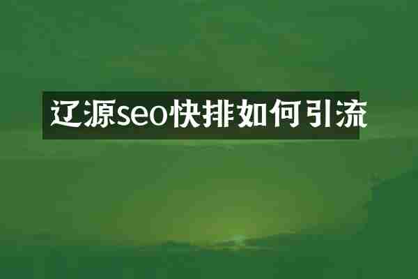 辽源seo如何引流