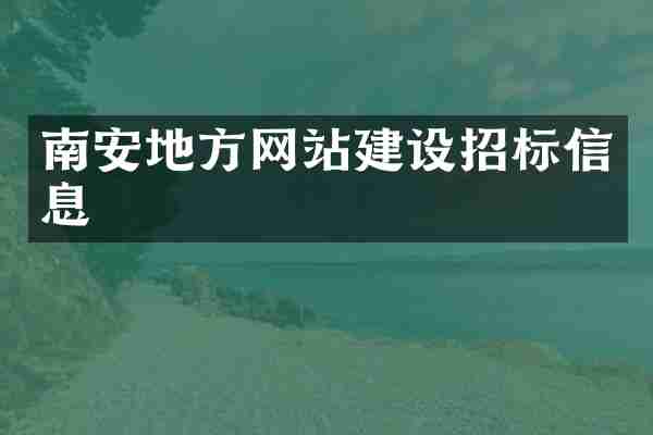 南安地方网站建设招标信息