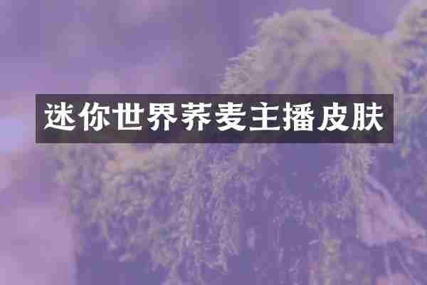 迷你世界荞麦主播皮肤