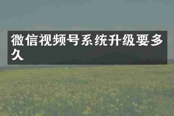 微信视频号系统升级要多久