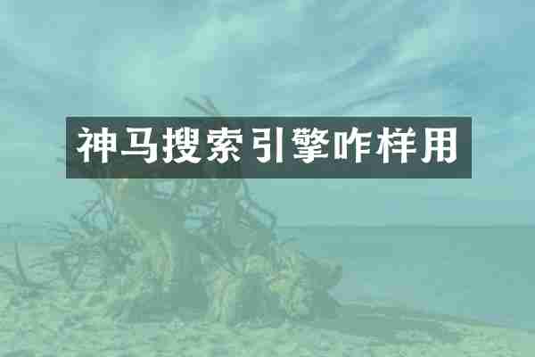 神马搜索引擎咋样用