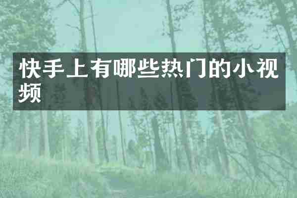 快手上有哪些热门的小视频
