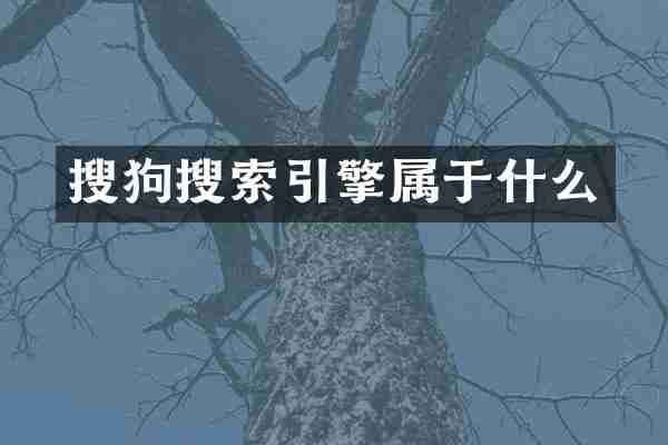 搜狗搜索引擎属于什么