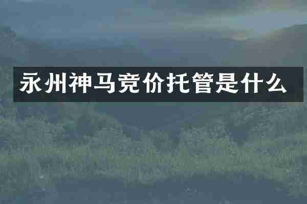 永州神马竞价托管是什么