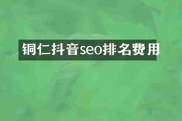 铜仁抖音seo排名费用