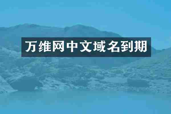 万维网中文域名到期