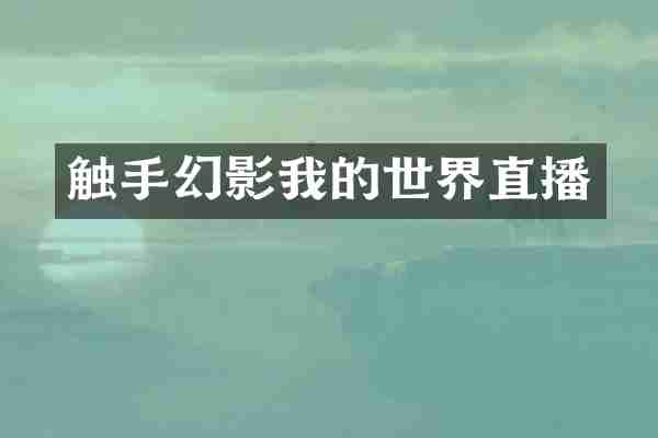 触手幻影我的世界直播