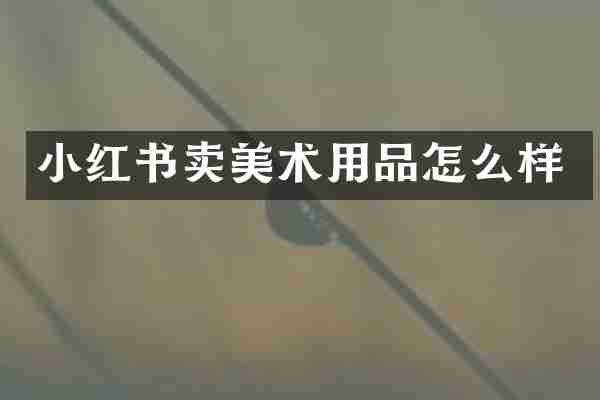 小红书卖美术用品怎么样