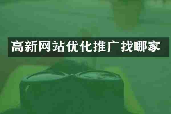 高新网站优化推广找哪家