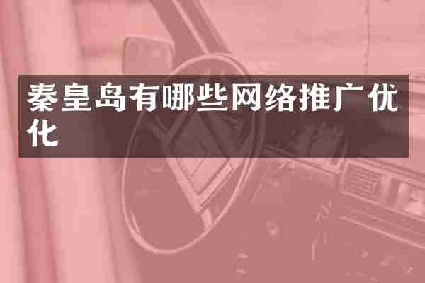 秦皇岛有哪些网络推广优化