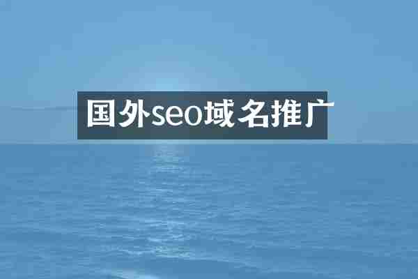 国外seo域名推广