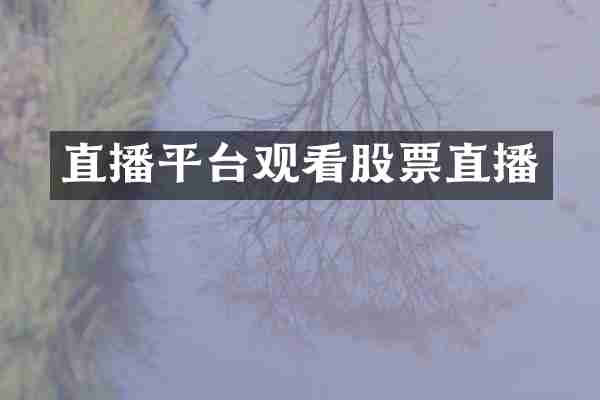 直播平台观看股票直播