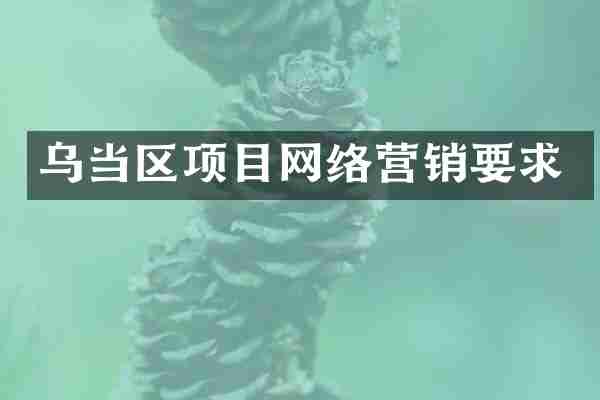 乌当区项目网络营销要求