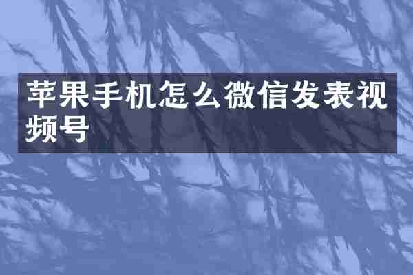 苹果手机怎么微信发表视频号