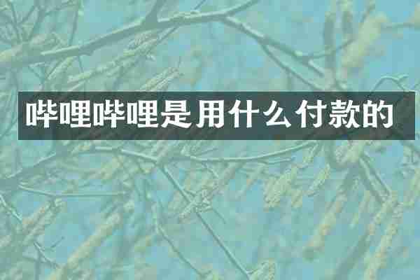 哔哩哔哩是用什么付款的