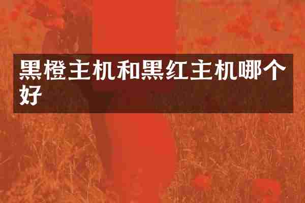 黑橙主机和黑红主机哪个好
