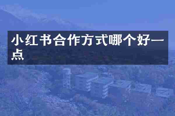 小红书合作方式哪个好一点