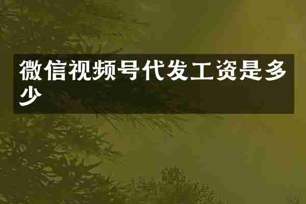 微信视频号代发工资是多少