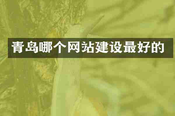 青岛哪个网站建设最好的